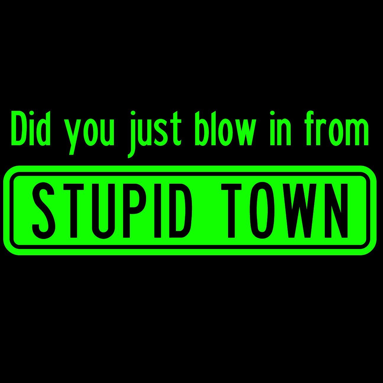 Did You Just Blow In From Stupid Town