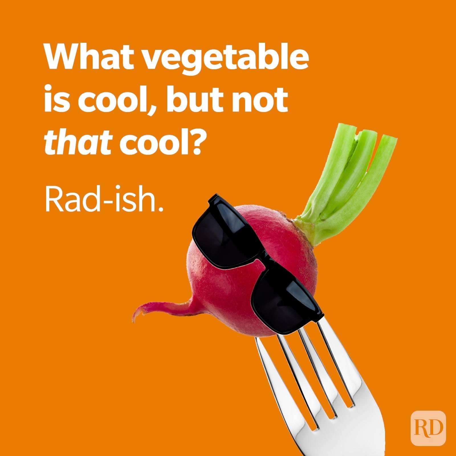 100 Funniest Clean Jokes