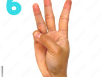 1000_F_311823982_wDGReyus6OHvZRFn8QjhSJp4kGkRjjFW