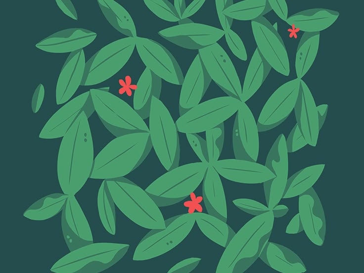 A Partridge in a Pear Tree - Kyle Letendre GIF