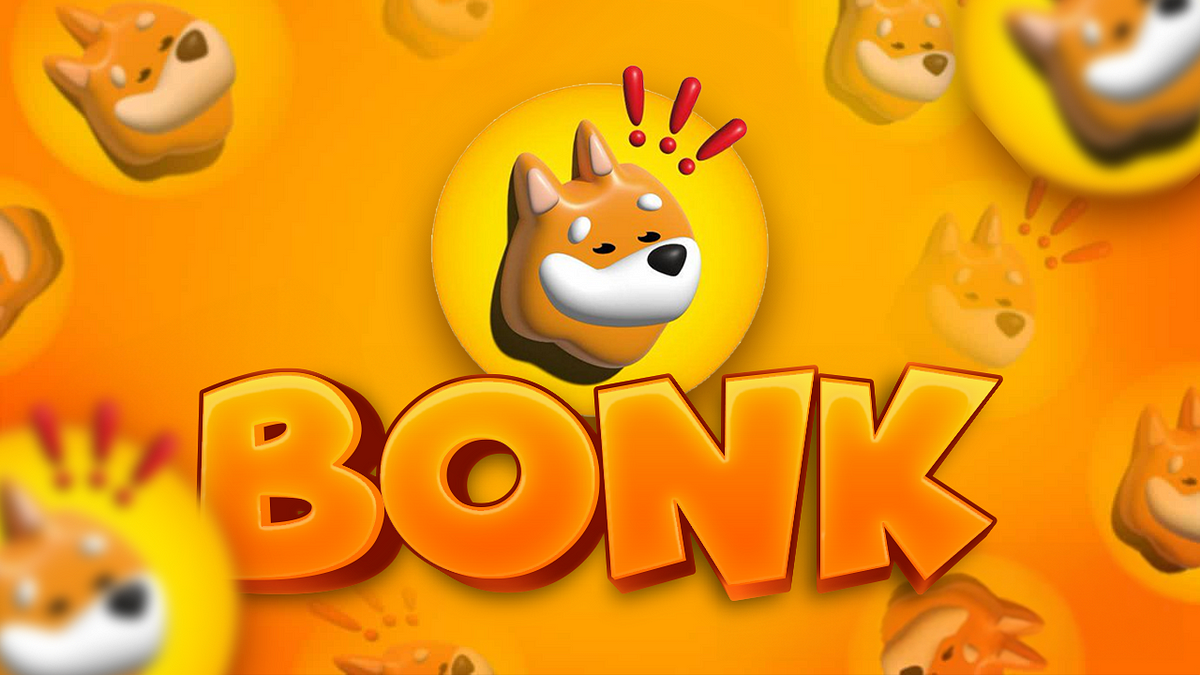 BONK Coin Representation