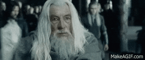 Gandalf GIFs