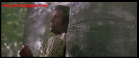 Mel Gibson in action