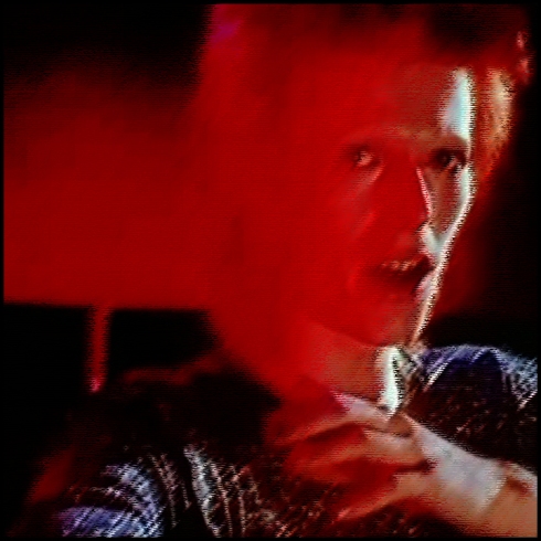 White Devil Ace Ventura