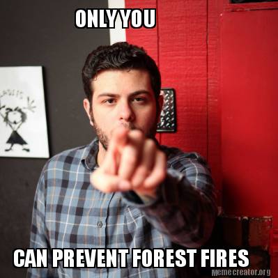 Funny ONLY YOU CAN PREVENT FOREST FIRES Meme Generator