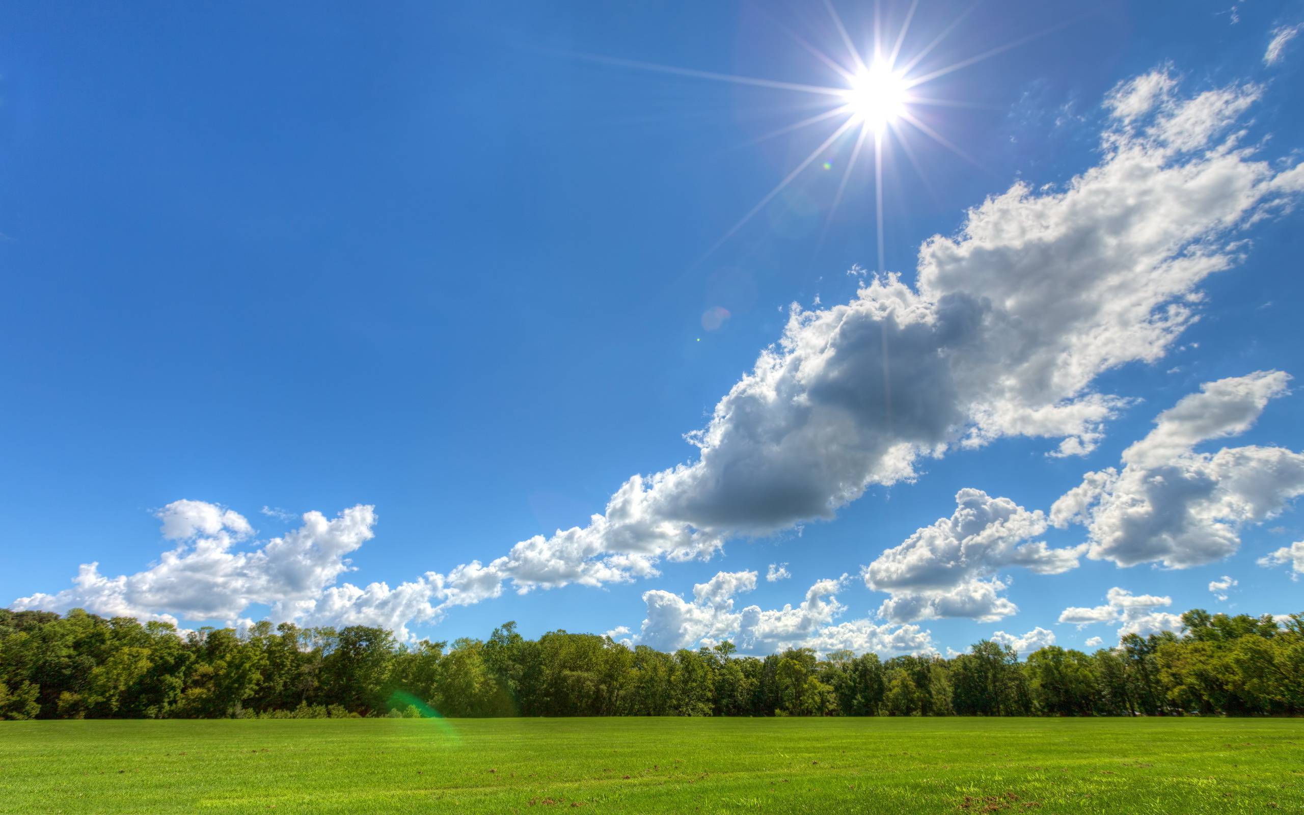 Sunny Day Wallpapers
