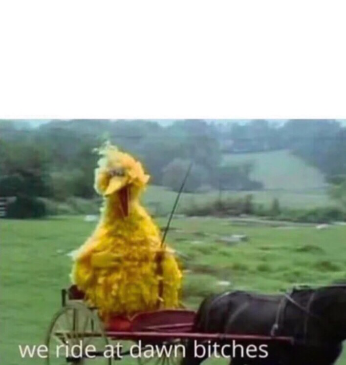 Bird Bird we ride at dawn Memes