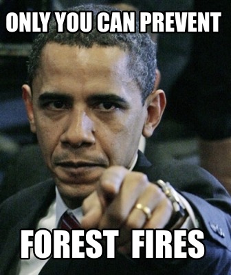Funny only you can prevent forest fires Meme Generator