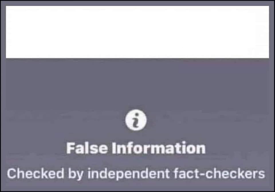 False Information Checked by Independent Fact-Checkers Blank Template