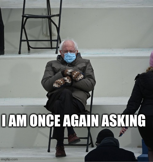 Bernie Mittens I am once again Asking Blank Template