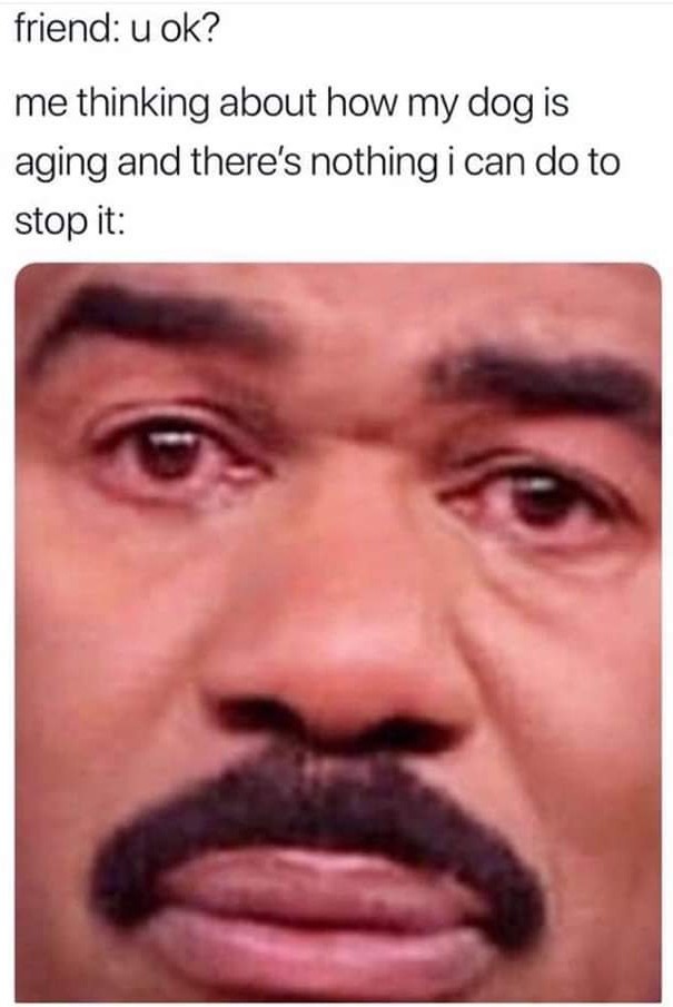 Right in the feels - Meme by audilover23