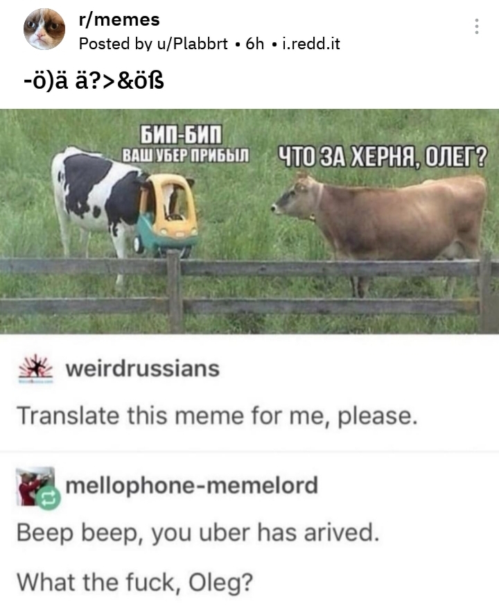 Beep Beep - Meme by Mrblue301