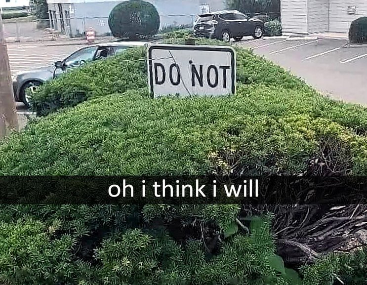 And u can't stop me meme