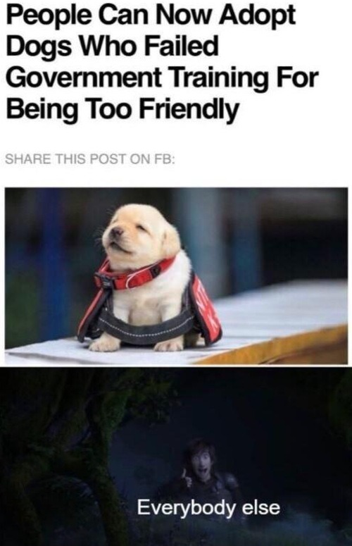 Finally, some good news - Meme by RobSammer :) Memedroid