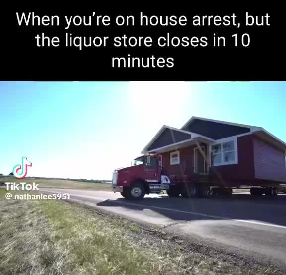 Can't stop me meme by Knot_daddy