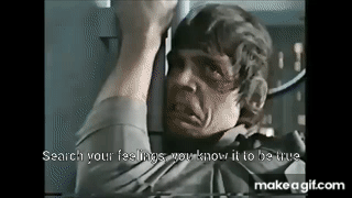 Search your feelings on Make a GIF