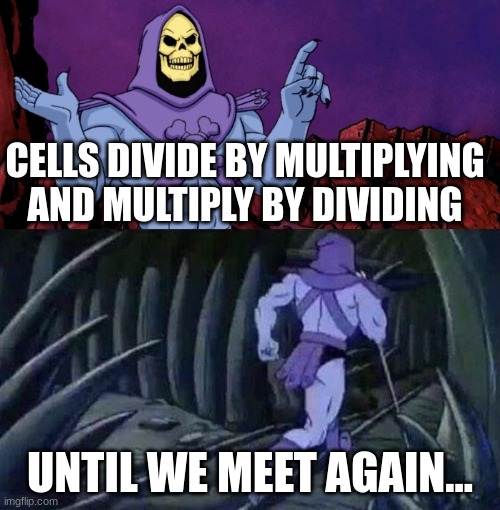 Skeletor Advice Until we meet again Memes
