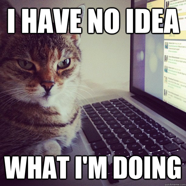 I have no idea what I'm doing cat meme