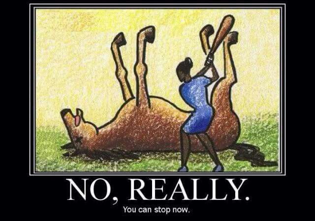 Horse Meme - Relatable Irony