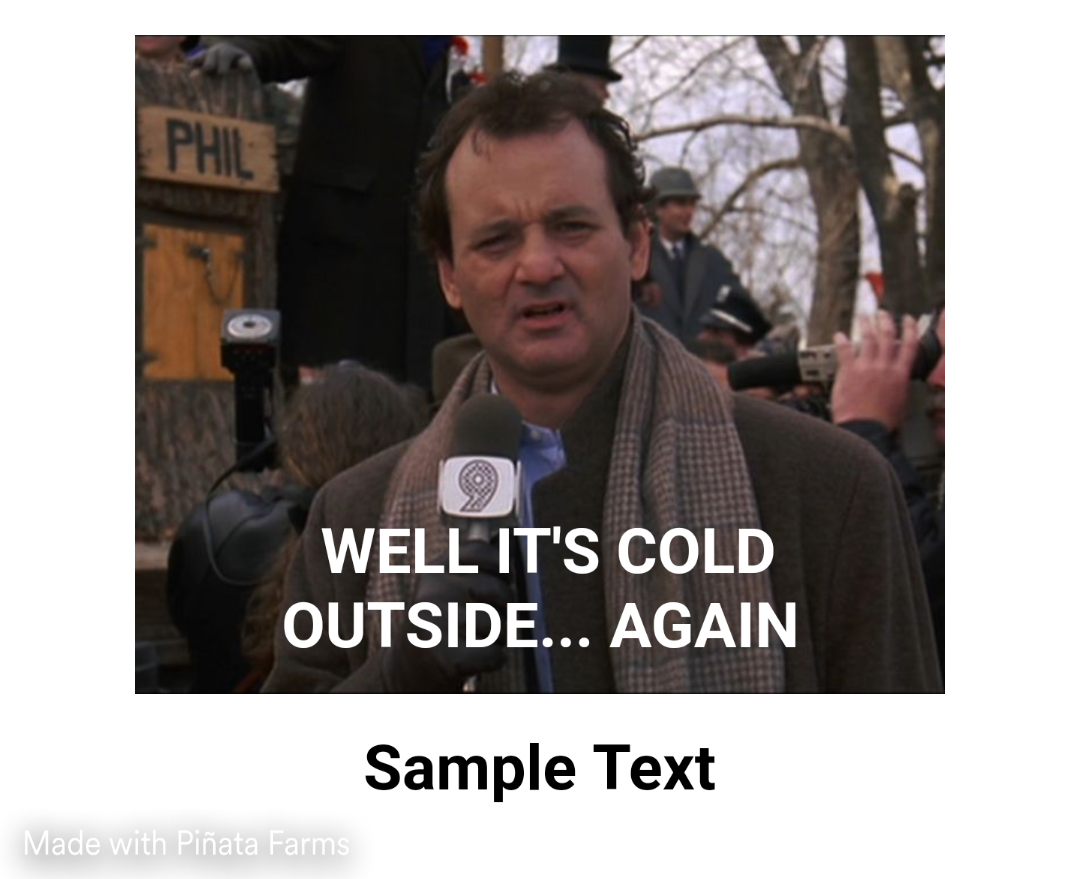 Bill Murray Groundhog Day Meme