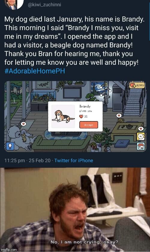 Right in the feels #memes #memesociety #funny