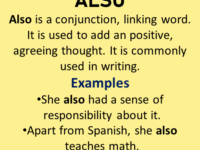 Also-in-a-Sentence-Definition-and-Example-Sentences-200×300
