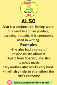 Also in a Sentence, Definition and Example Sentences - Example Sentences