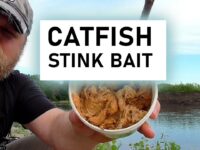 Catfish-Stink-Bait-Featured-Image