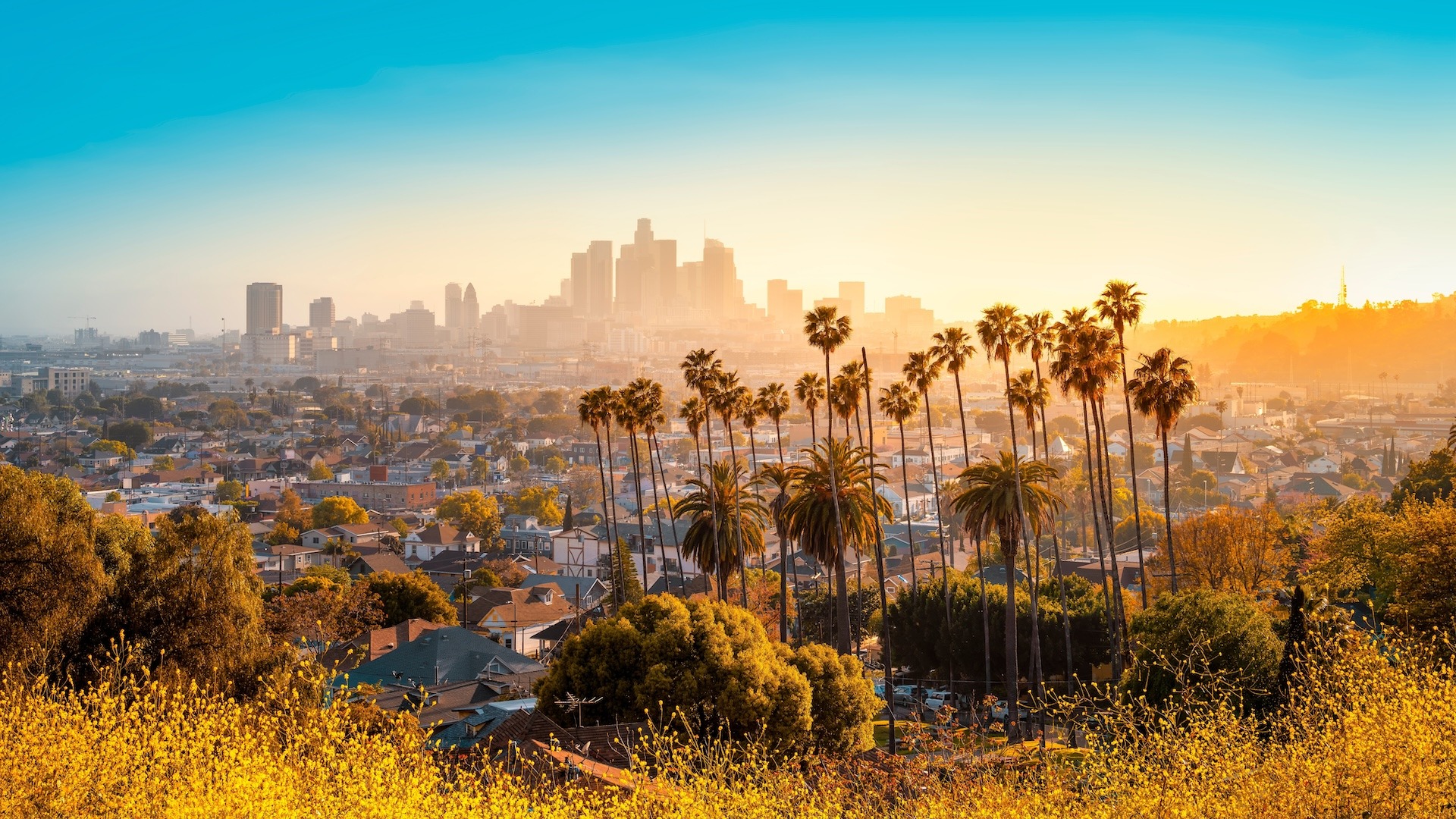 Waktu Terbaik untuk terbang ke Los Angeles