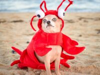 GettyImages-621924830-scaled