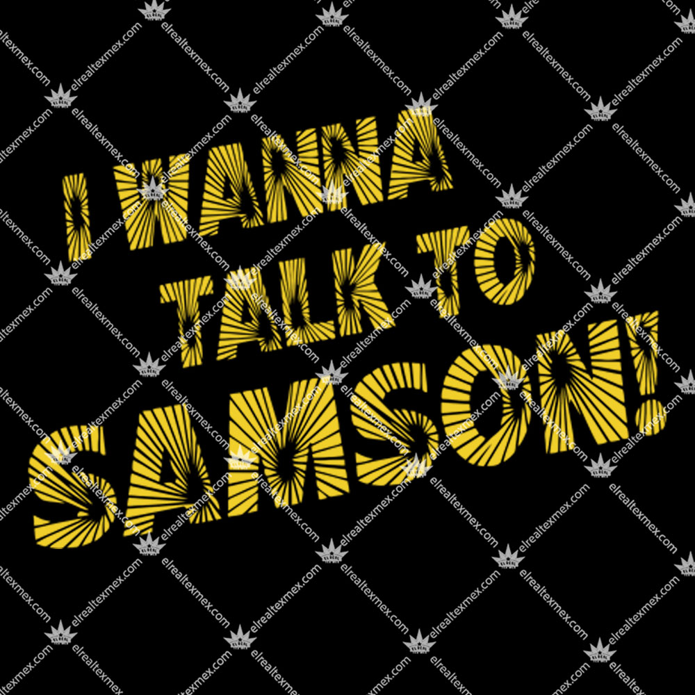 I Wanna Talk To Samson Hoodie