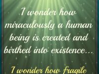 I-Wonder
