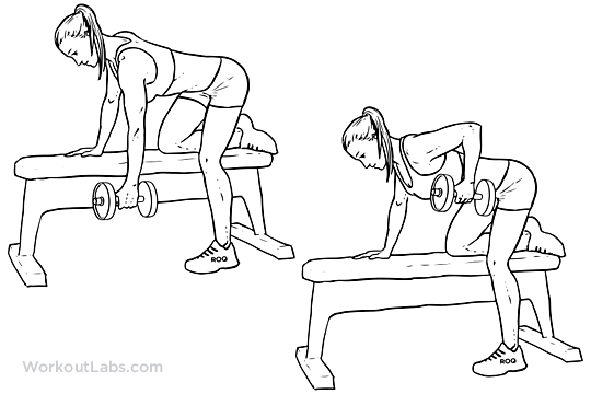 One-Arm Dumbbell Row Exercise Guide