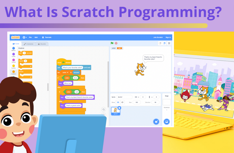 What is Scratch Programming? Complete Guide for Beginners