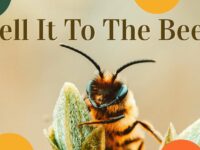 Tell-It-To-The-Bees-WEBs