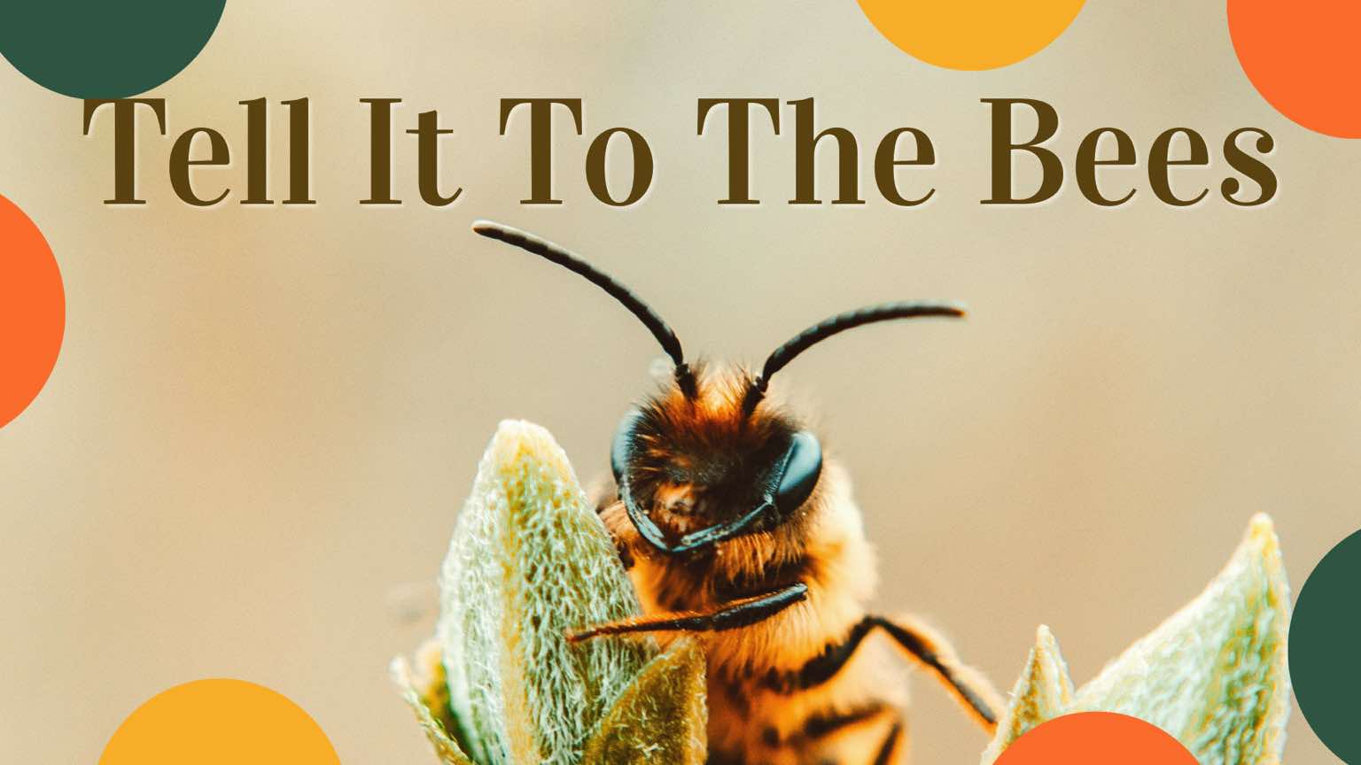 Tell It To The Bees Promotional Image