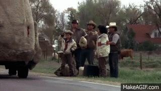 Dumb and Dumber - Pick em up!