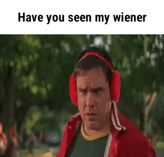 There's Something About Mary GIF