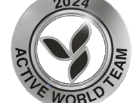 awt-2024-active-world-team-pin