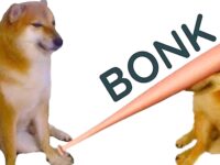 bonk-meme