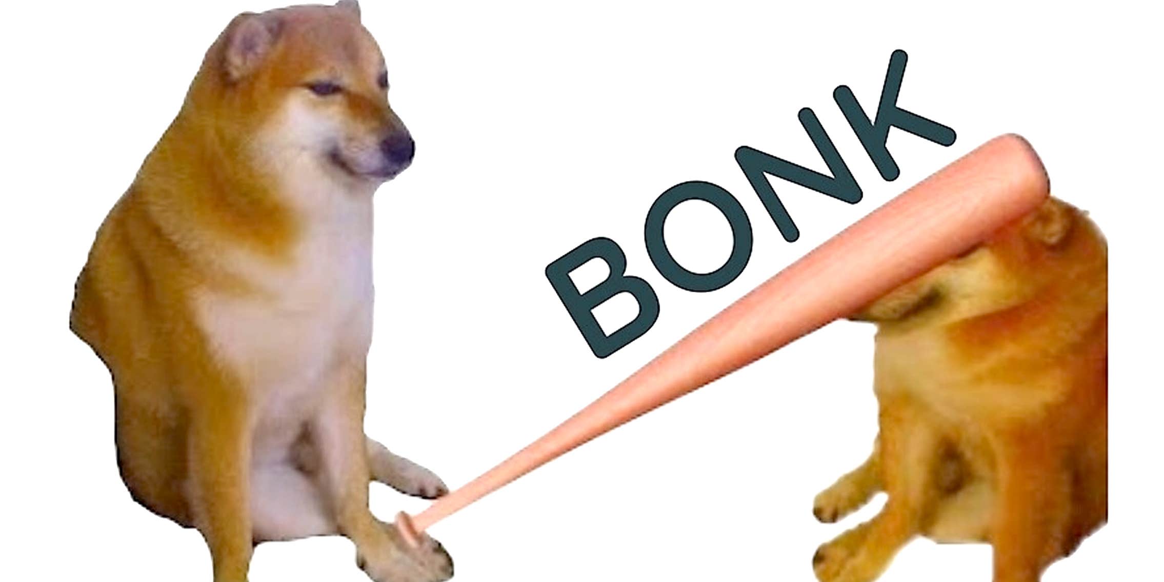 Bonk Meme Origins