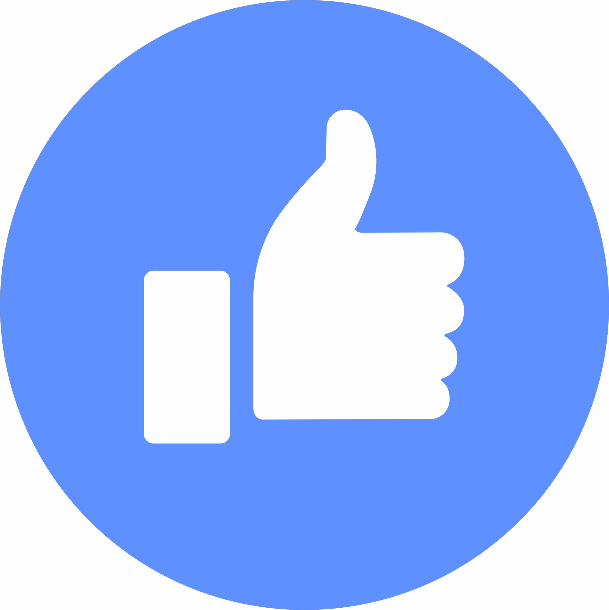 Facebook Like Icon