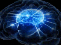 brain-meme-you-did-not-have-to-cut-me-off