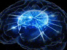 Brain Meme You Did Not Have To Cut Me Off GIF