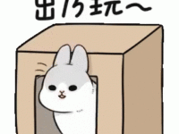 bunny-bunny-in-the-box