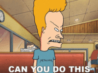 can-you-do-this-job-or-not-beavis