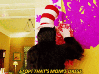 cat-in-the-hat-movies