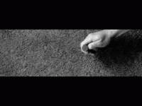 coin-flip