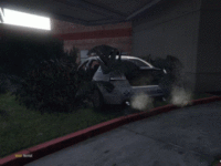 cop