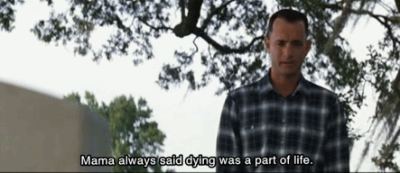 Forrest Gump One Less Thing GIF